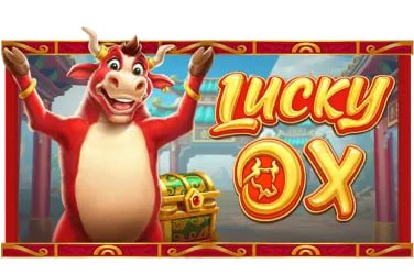 3xbet